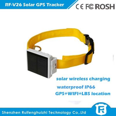 Perseguidor solar impermeável dos gps de Reachfar rf-v26 apropriado animal do mini para o gado/seguimento da vaca