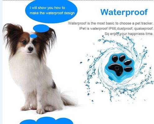 Os gps de tração baratos pet o perseguidor para o cão ip66 impermeável rf-v32