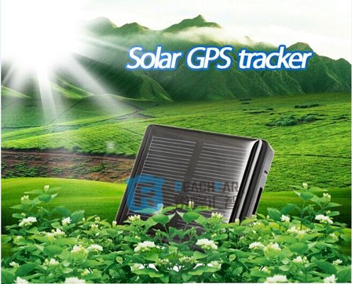Gps impermeáveis que seguem o dispositivo para o animal dos carneiros que segue consigo livre dos gps do software em linha