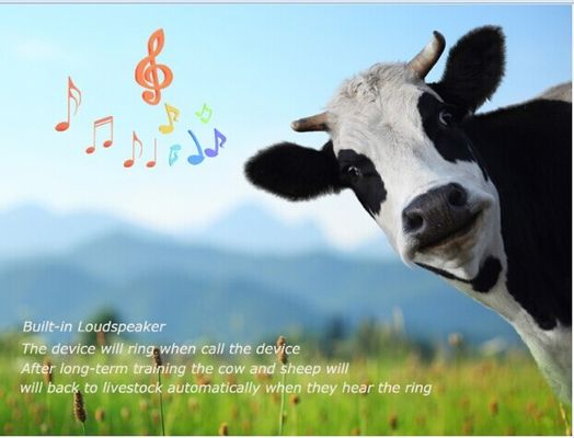 Gps impermeáveis que seguem o dispositivo para o animal dos carneiros que segue consigo livre dos gps do software em linha