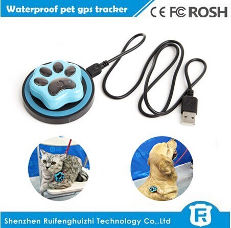 Perseguidor em linha do cartão do sim do perseguidor dos gps da via rápida de Reachfar rf-v32 micro para o animal de estimação