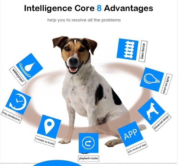 Wifi sistema de rastreamento GPS / cão chip com gps anti perdido gps animal de estimação do cão / gato rastreador localizador V30