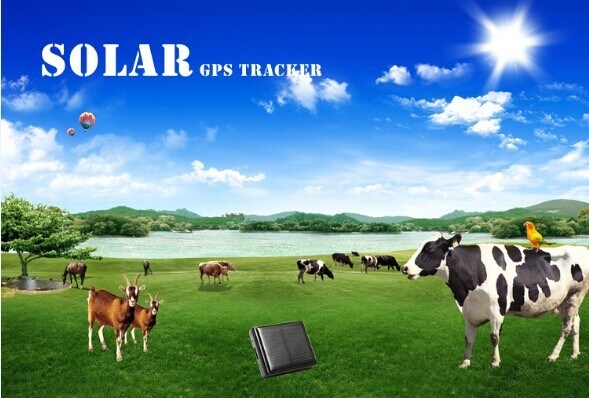 Sistema de rastreamento solar sim card gps com software livre mini gps tracker à prova d'água para vaca /