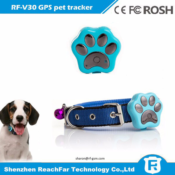 Número do imei do produto o mais novo que segue o perseguidor impermeável em linha dos gps do animal de estimação com lgihts espertos do diodo emissor de luz