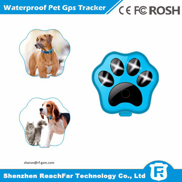 Os gps os menores baratos portáteis do tempo real pet o perseguidor com uma monitoração da bateria e da voz do ano