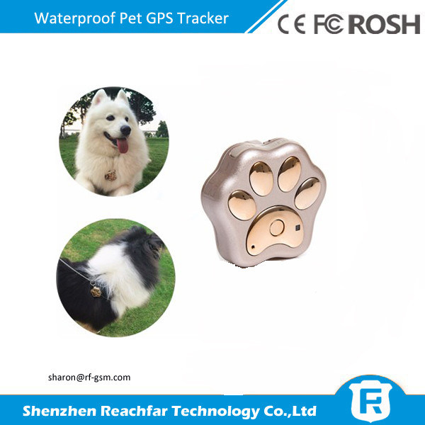 Gps pequenos do animal de estimação que seguem o dispositivo para cães com androide & app Google Maps do IOS
